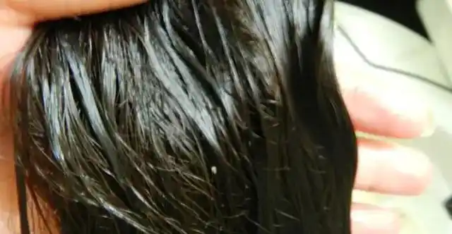 头发爱出油到底是哪里出了问题提醒或是湿气重的缘故