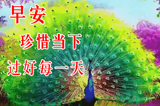 10月30日最漂亮早上好动态表情图片大全早晨好动图美图大全