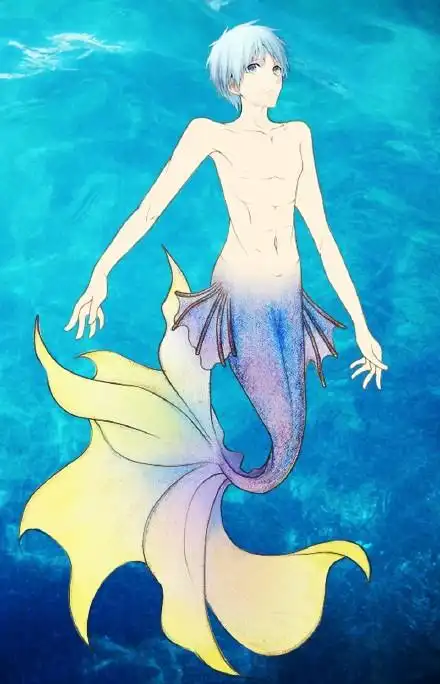 阿木自制美人鱼男神版,挑自己喜欢的男神转走吧,祝大家新年快乐,年年