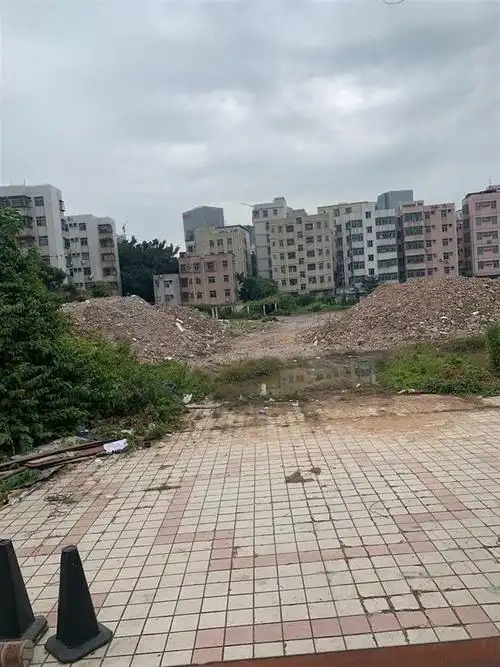 深圳市南山区大族集团北头村旧改