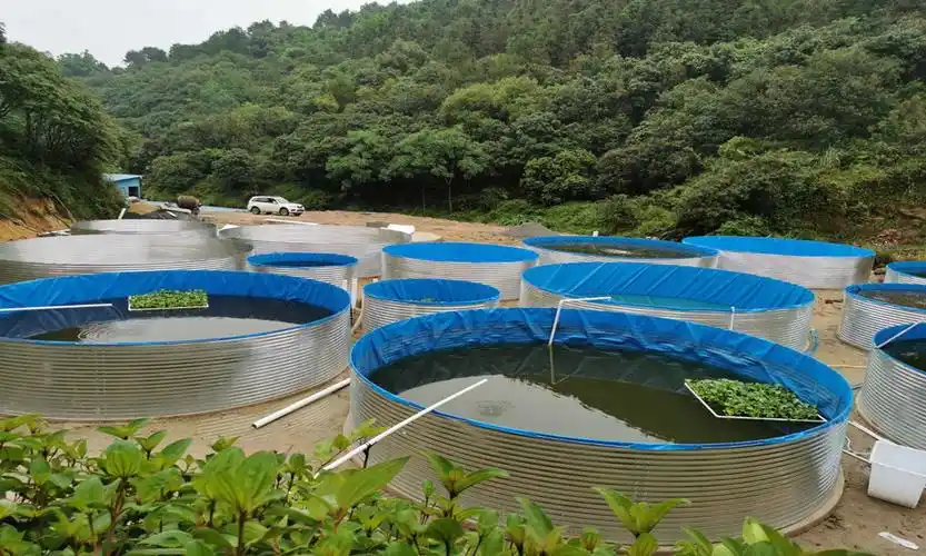 户外地面养殖圆形镀锌板帆布水池养殖