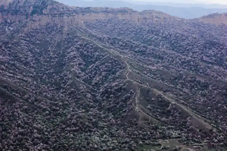 新疆霍城县福寿山