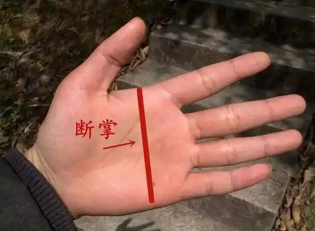 马云手相三角纹放大照马云手相图解分析