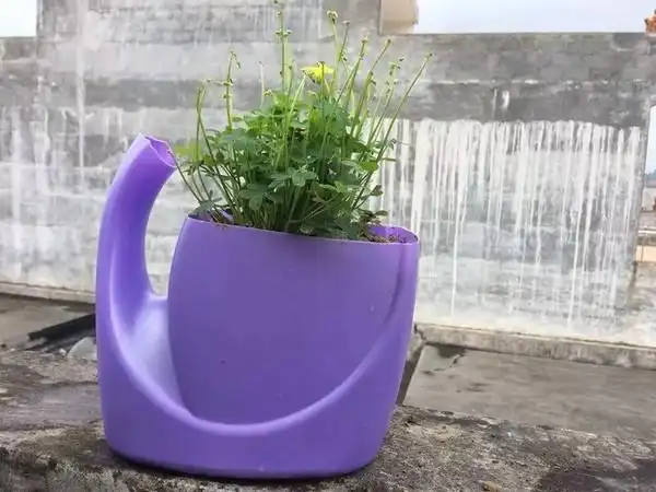 需要家长给孩子用废旧材料做一个有创意的花盆,对于从来没做过手工