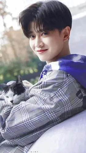 任嘉伦的笑就是我的笑来个笑容收藏楼