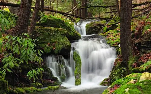 描述: 瀑布河森林宾夕法尼亚-旅行风光高清壁纸 当前壁纸尺寸: 1920 x