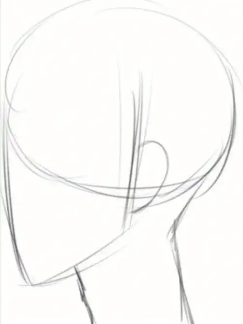 1用圆形和线画出像字母"d"的侧面头部.