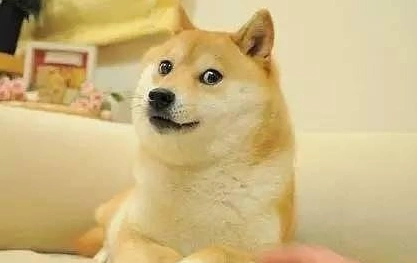 抖音狗头保命是什么梗