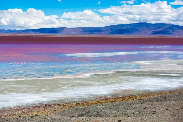 羌塘无人区的罕见风光:扎布耶茶卡,西藏唯一的粉红色湖泊_盐湖