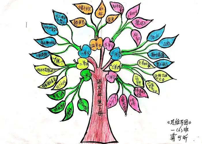 阿拉尔中学师生思维导图设计比赛作品展------小学生组(含各科目)