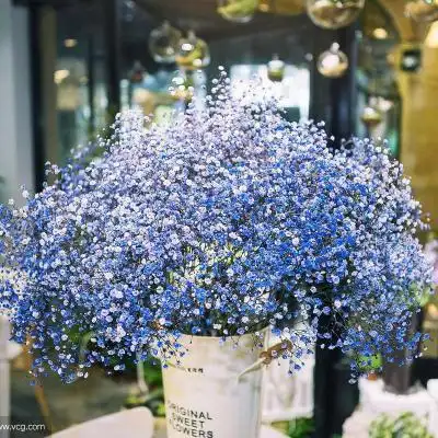 满天星图片高清图片唯美微信头像满天星图片大全