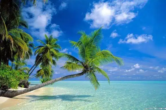 海景- ~小迷糊~采集到世界美景览胜 - 花瓣