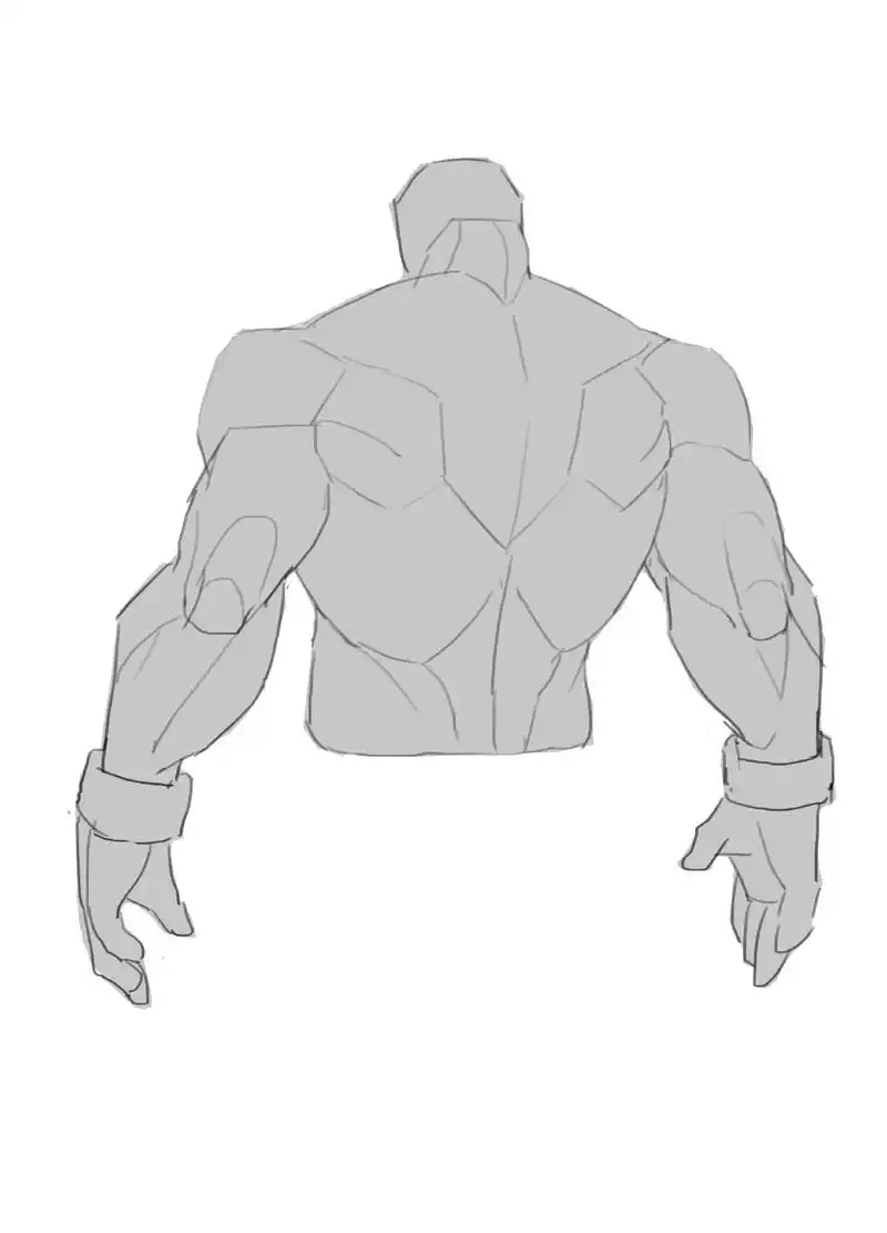 后背肌肉.#画画 #板绘 #图文来了 #人体结构 #零基础学 - 抖音