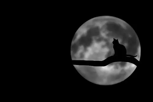 黑夜温情 - 美篇