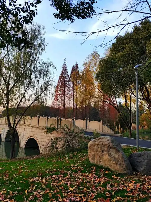 昆山森林公园(2019年12月13日手机拍摄)