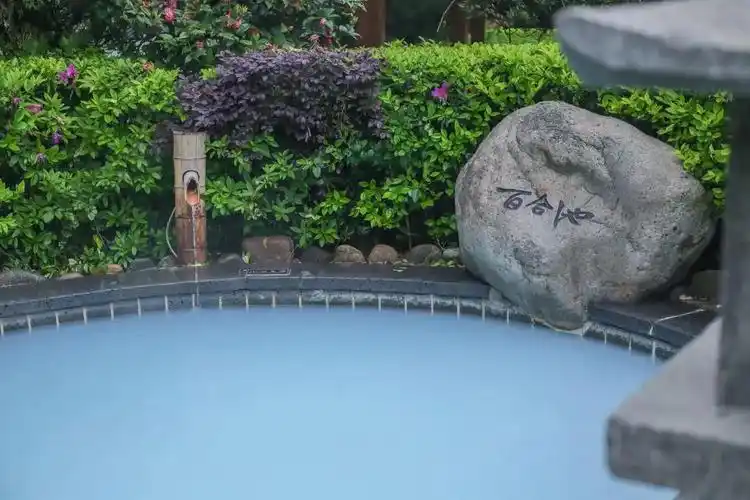 【宜春景点图片】明月山天沐温泉度假村