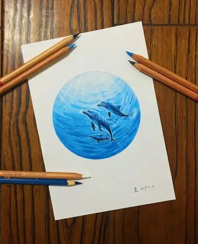 彩铅临摹一海豚 - 简书