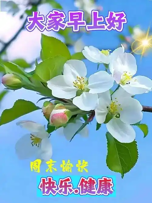 2024年3月17日周日最新早上好问候祝福图片大全,愿君时时都平安,事事