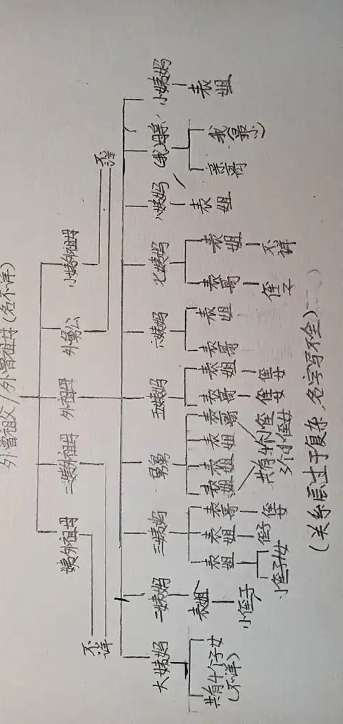 我也给我的家族(母系)做了一份简单的家谱.下面就是关系图