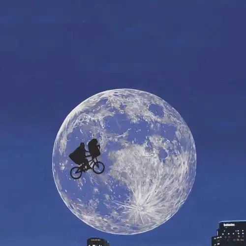 抖音微信精彩文案说说配图:安静的优秀,是一种悄无声息的坚强