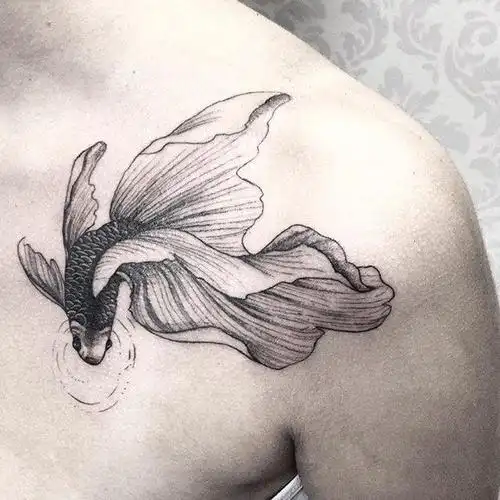 女人纹鱼的忌讳和讲究(一个人纹身纹几条鱼好)纹身两条鱼有什么说法