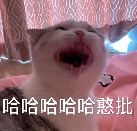 你都存了哪些沙雕表情包