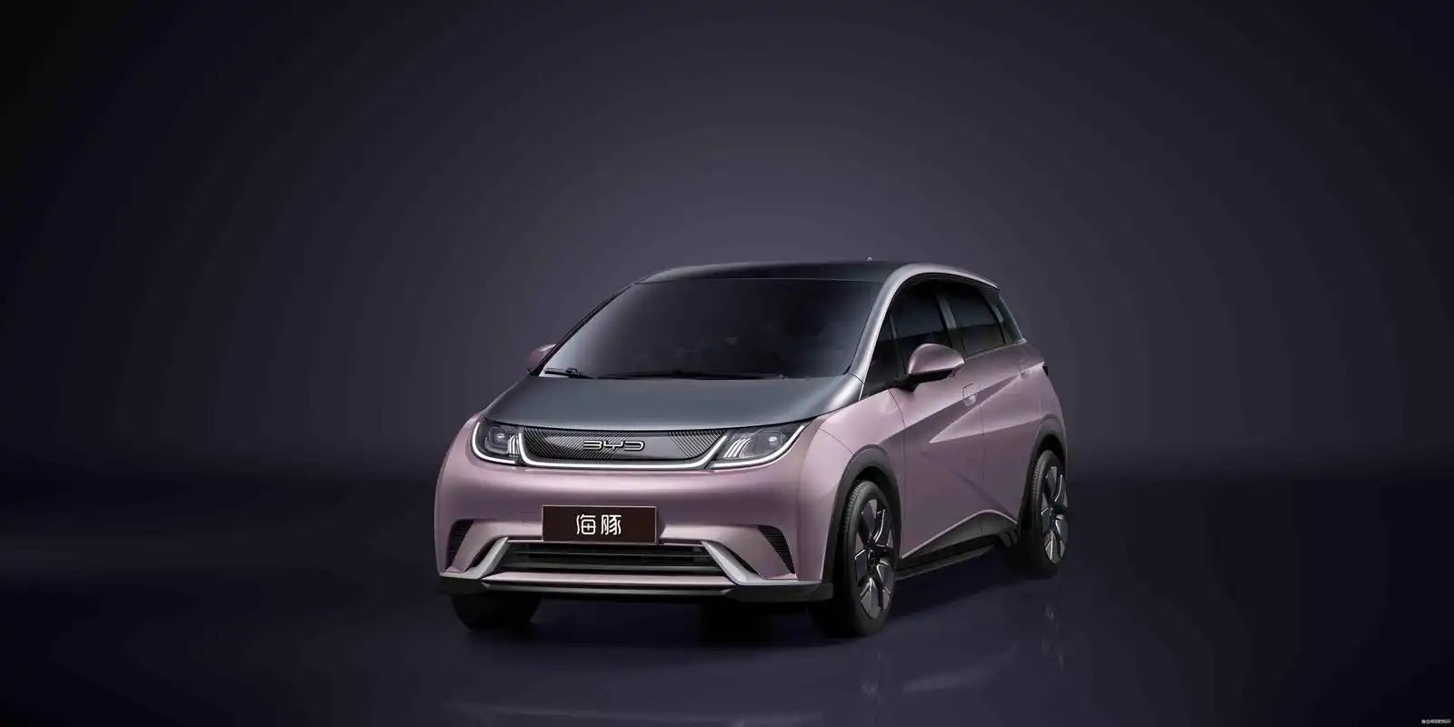 女士纯电动汽车排名十强