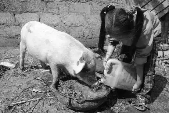 80年代农村老照片:图4让人怀念,图6你一定做过,图9很尴尬