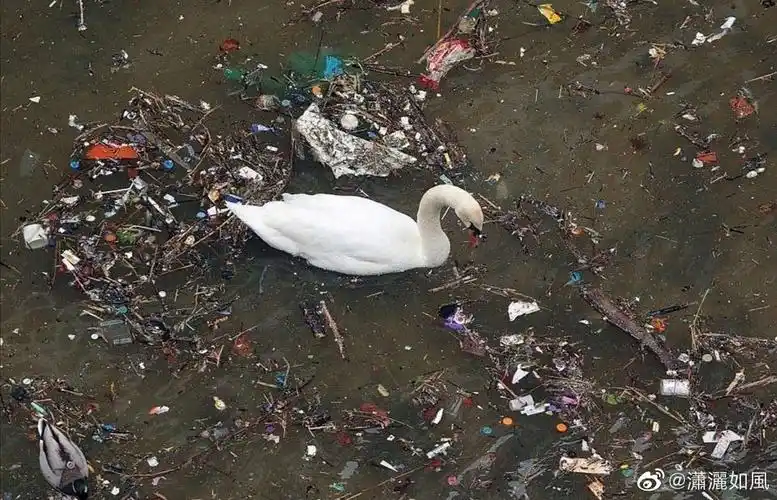 世界上"最脏"的4条河流,你知道几条?