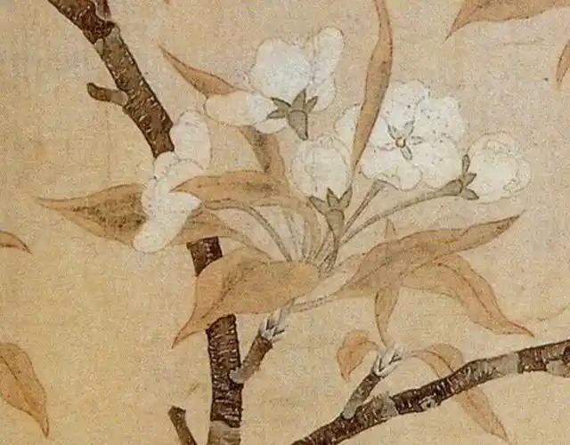 元代钱选《梨花图》欣赏!