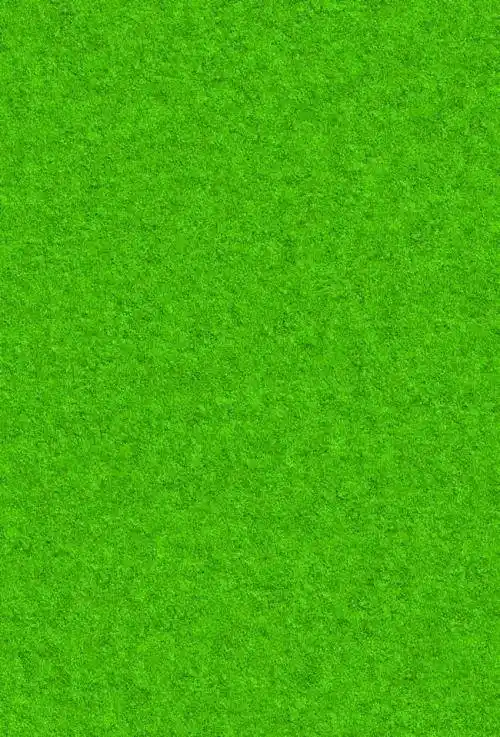 我的绿色护眼图片