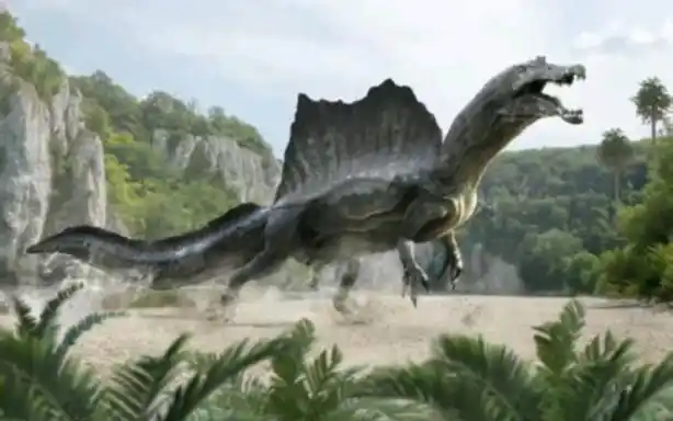 棘背龙 (spinosaurus) 是一种大型兽脚类肉食恐龙,主要生活在白垩纪
