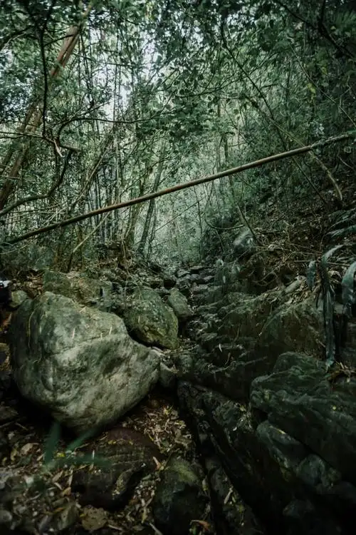 三天两夜穿越无人原始森林(超多图,慎入)更新完毕