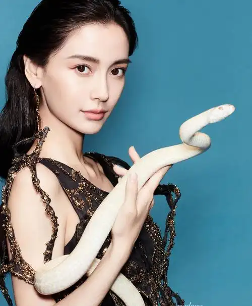 美女与蛇,杨颖外号"杨大胆",baby这组照片网友直言不敢直视