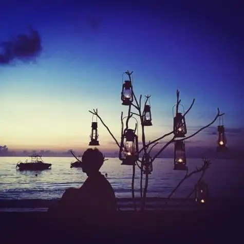 背影男生头像意境唯美小清新森系苑子文苑子豪赞评论更多