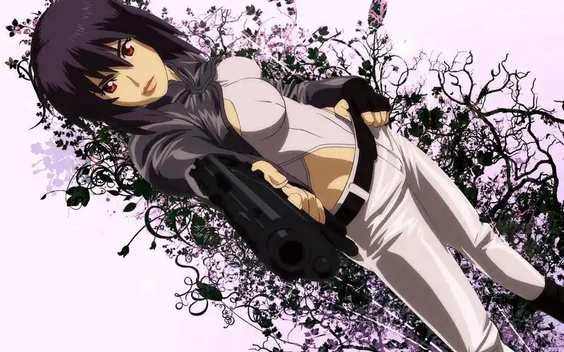 [番剧蓝光特典]攻壳机动队 个别的11人