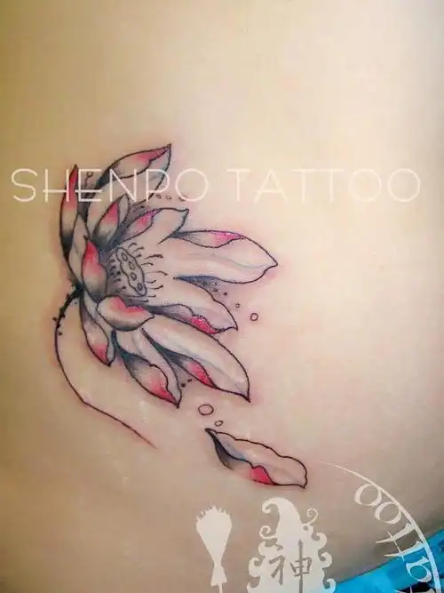 小腹荷花_纹身图案手稿图片_王雅楠的纹身作品集