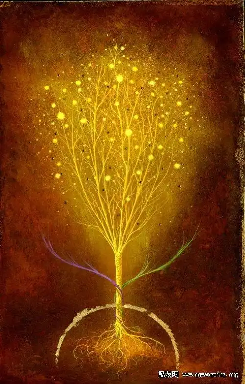 幸运符号简谱tfboys