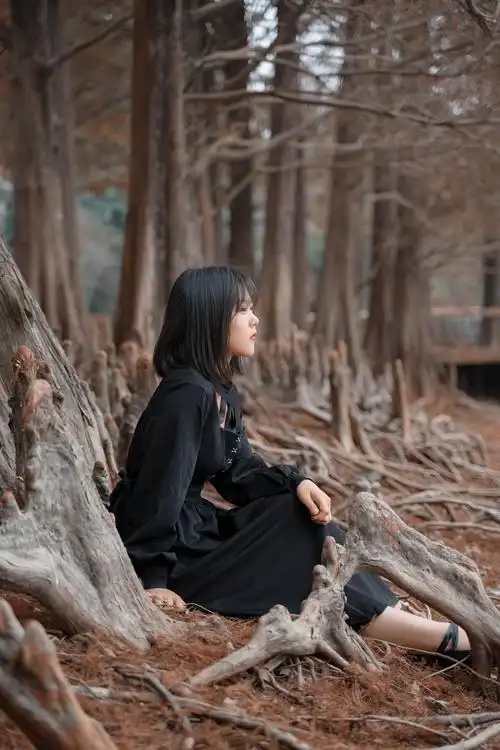 一个人静静地坐在湖边的落叶杉林下,看看这最后的秋色.