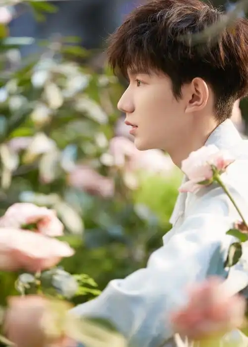 王源帅气迷人花海写真图片