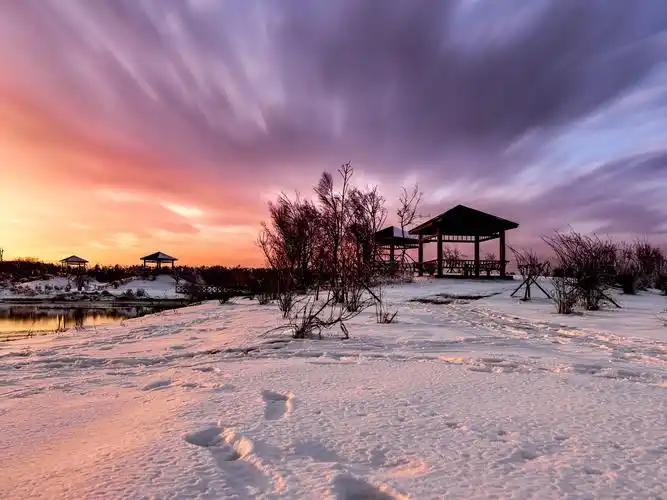 晚看西北哈尔滨太阳岛景区冬季晚霞风光