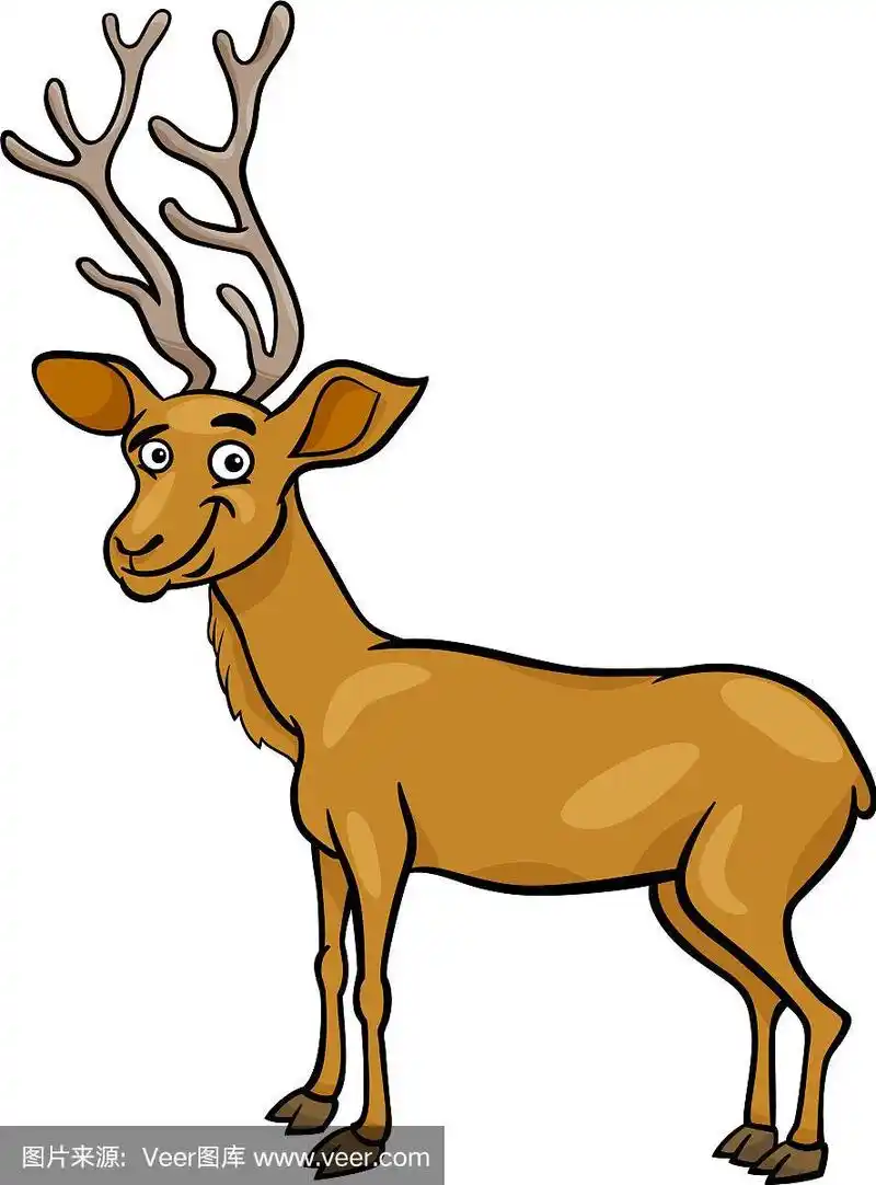 马鹿鹿卡通