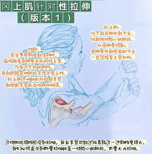 冈上肌针对性拉伸