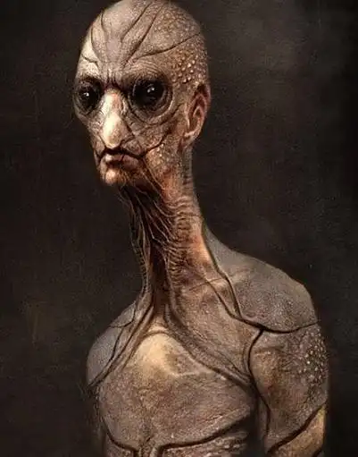 年,关于ufo的目击事件屡创新高,可见大家对于ufo的关注也是日益仙