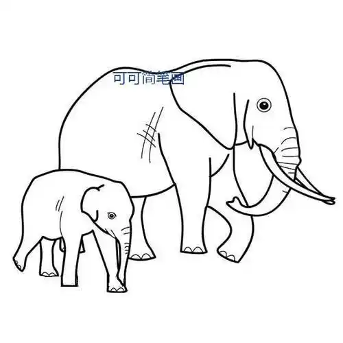 大象简笔画小象的故事小象简笔画怎么画小象简笔画步骤可爱的小象简笔