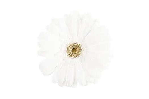 白底白背景白色背景图片_白底白背景白色背景图片大全_白底白背景白色