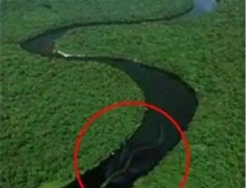 长白山3000年巨蛇七彩蛇遍布山峰