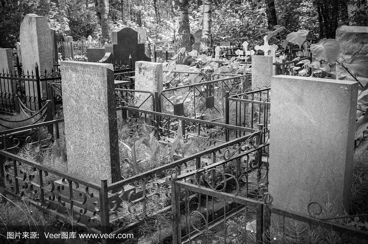 墓地,墓穴,墓碑,黑白图片,公亩