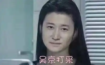 有关"吴京打采"的表情