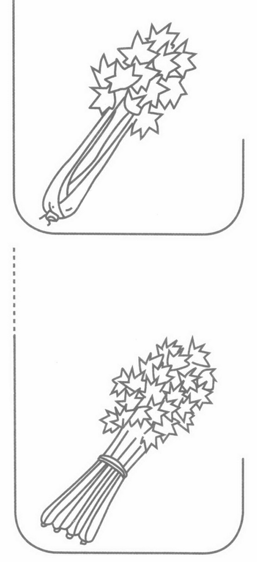 画法芹菜简笔画芹菜简笔画图片芹菜怎么画芹菜简笔画彩色画法芹菜简笔